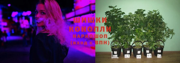гидра Арсеньев