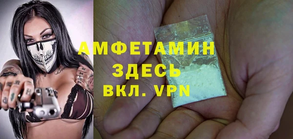 гидра Арсеньев