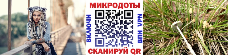 продажа наркотиков  Чапаевск  Галлюциногенные грибы ЛСД 